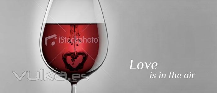 Vino para el amor. Quieres asegurarte lo de esta noche? Consulta nuestros Vinos Love.