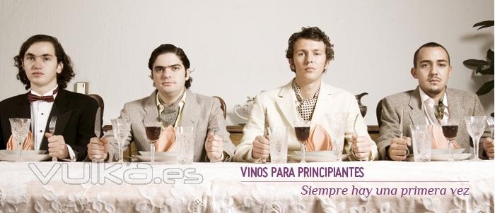 Eres principiante en esto de los vinos? Aqu tienes una buena seleccin para comenzar. Vineame.com