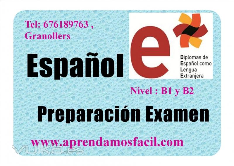 clases de espaol para extranjeros en granollers ( dele )