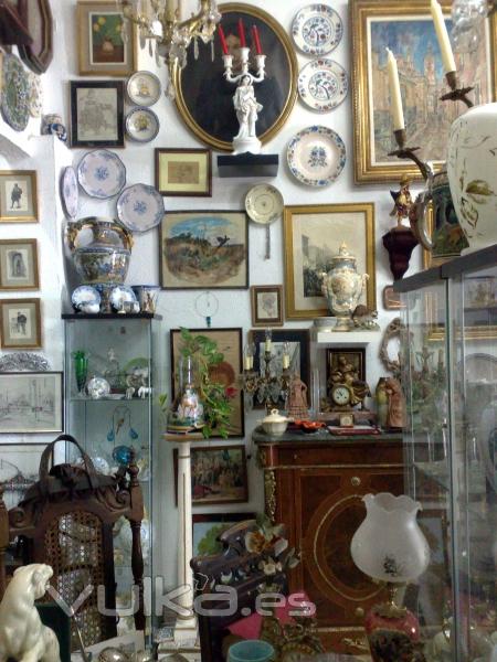 Foto del interior de la Tienda