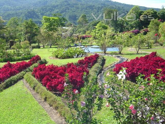 VIAJEROS PANAMA