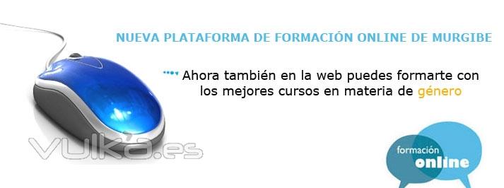 Formacin en igualdad online