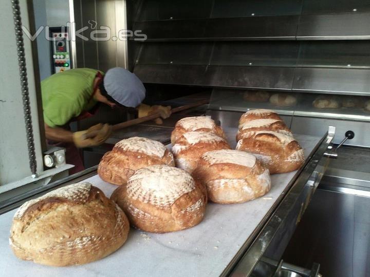 HORNO DE PANADERIA refractario cobaMaq