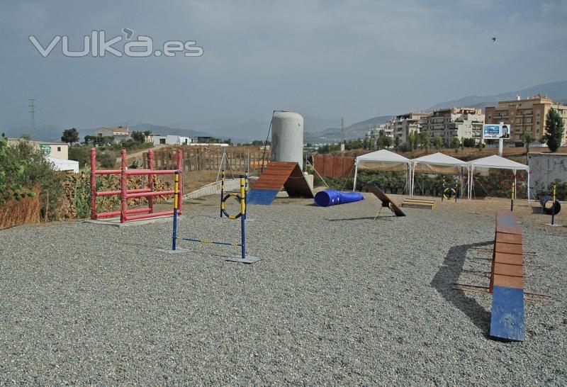 Escuela canina en Mlaga: Torre del Mar