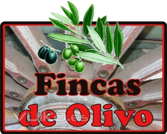 Fincas rústicas