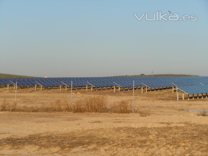 Huerto solar