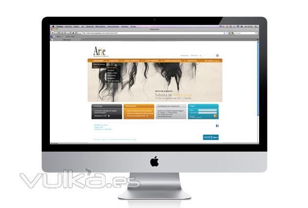 Diseño y desarrollo web para Arte, Información y Gestión (Cajasol).