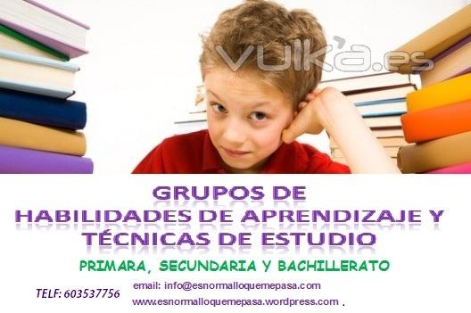 GRUPOS DE HABILIDADES DE APRENDIZAJE Y TCNICAS DE ESTUDIO