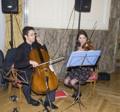 Musica en coctel