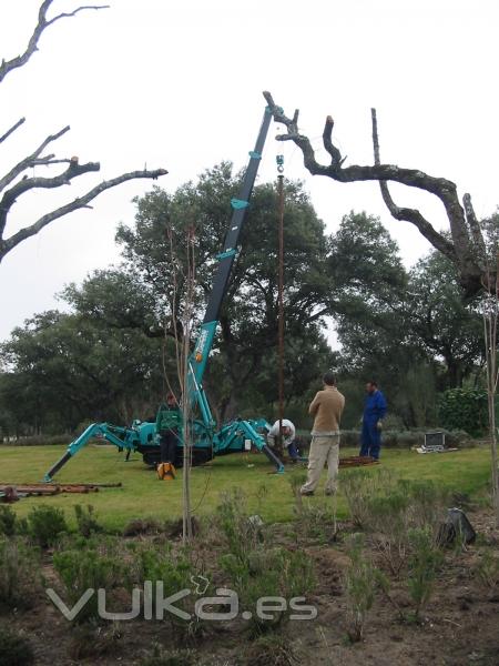 Instalacin de Bomba Sumergida en finca con difcil acceso.