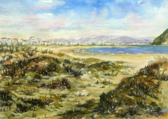 Playa laredo. norcalgs solar. laredo (cantabria)