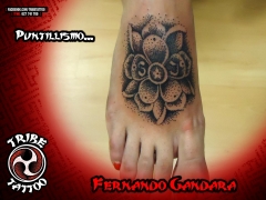 Tatuaje por fernando ganddara (puntillismo)