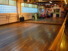 Sala de ballet dedicada a antonio ruiz soler (antonio el bailarin)