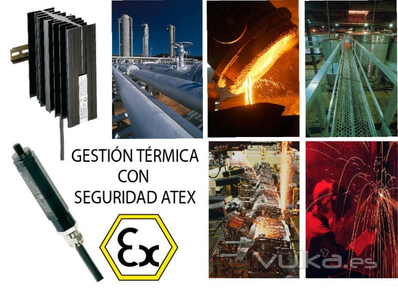 Resistencia calefactora y Termostato especial para Atex