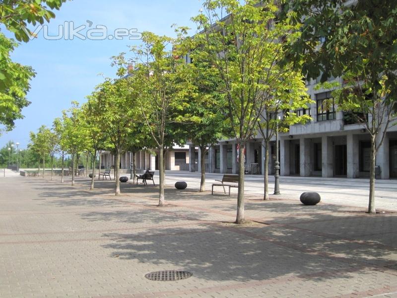 Plaza de Anzarn, 11 Bajo