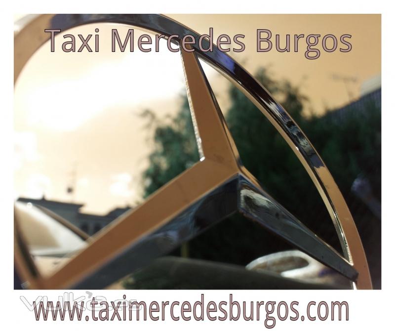 Taxi mercedes Burgos. Insignia