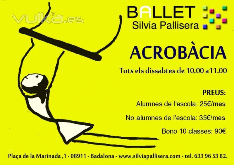 Ballet Silvia Pallisera