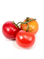 Tomate artificial tomates artificiales en rama oasisdecor.com