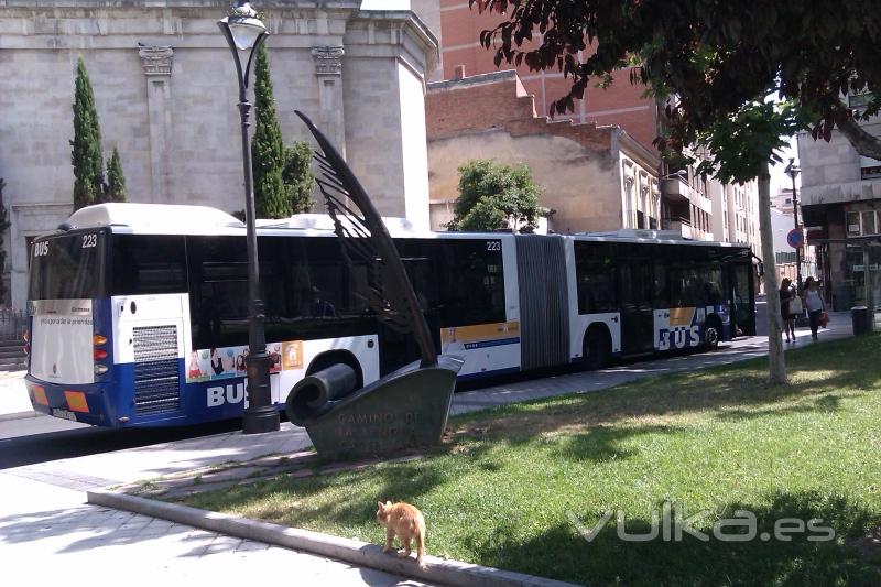 Interdomicilio en el bus linea 1