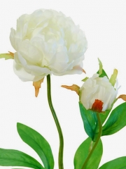 Flores artificiales de calidad flor peonia artificial blanca oasisdecorcom