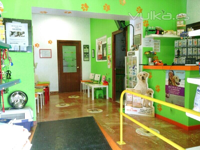 Sala de espera, tienda - Centro Veterinario Arcosur