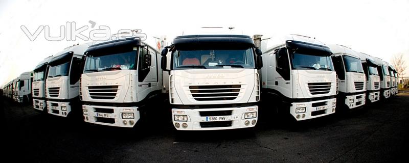 Flota camiones Transports Argelich