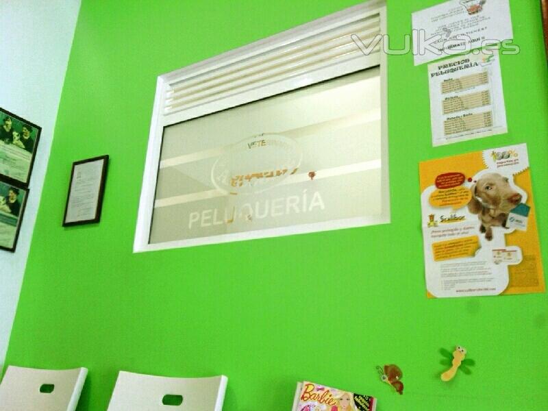 Peluquera - Centro Veterinario Arcosur