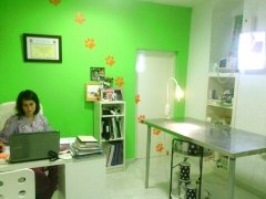 Consulta - centro veterinario arcosur
