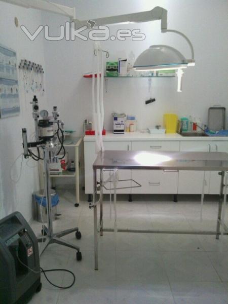 Quirófano - Centro Veterinario Arcosur