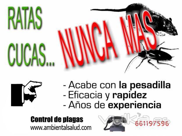 Control de plagas en Madrid