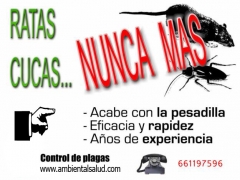 Control de plagas en madrid