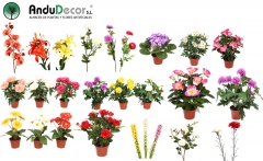 Plantas artificiales andudecor, geranio artificial, orquidea artificial, margaritas artificiales
