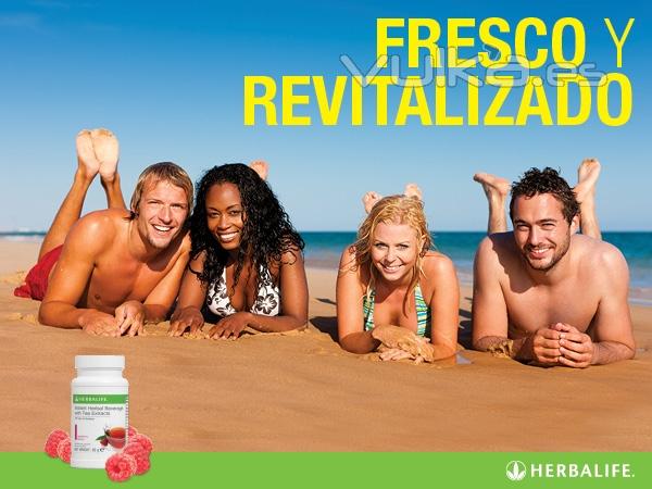 Productos Herbalife Bebida Herbal