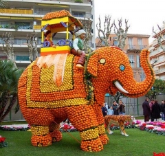 Naranjas Costa en Fallas