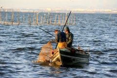Demostracion de pesca en la albufera