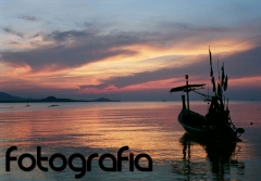 Fotografia profesional, fotos naturaleza, fotografo naturaleza