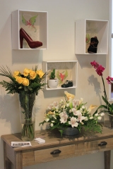 Zapateria andarines