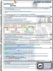 Explicación y Oferta de ProySeg a traves de Gas Natural Fenosa