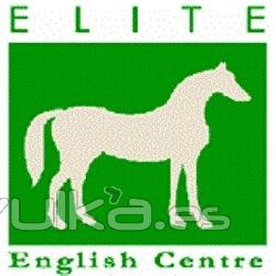 Elite English Centre