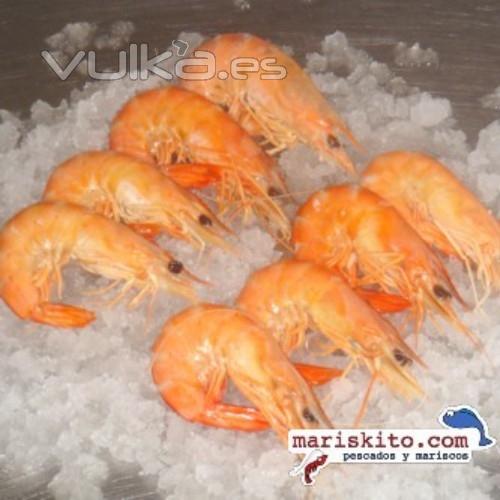 Langostino Cocido