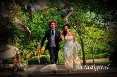 Foto 136 fotos boda en Málaga - Bodadigital