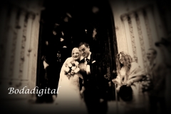 Foto 137 fotos boda en Málaga - Bodadigital