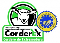 Cordero de Extremdura