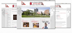 Diseno web barcelona - disseny bcn - foto 8