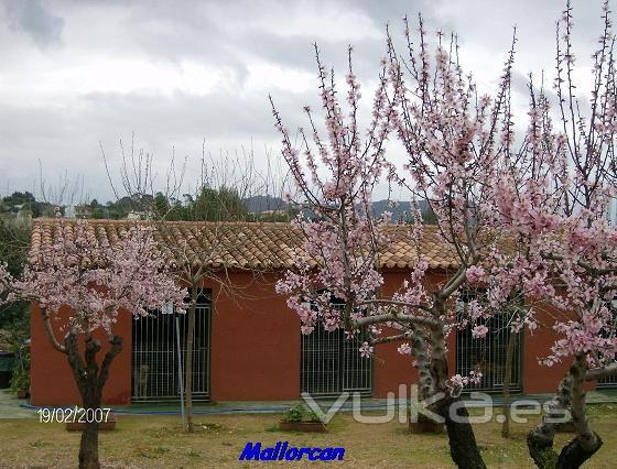 Residencia con Salidas a Pista 3 veces al dia