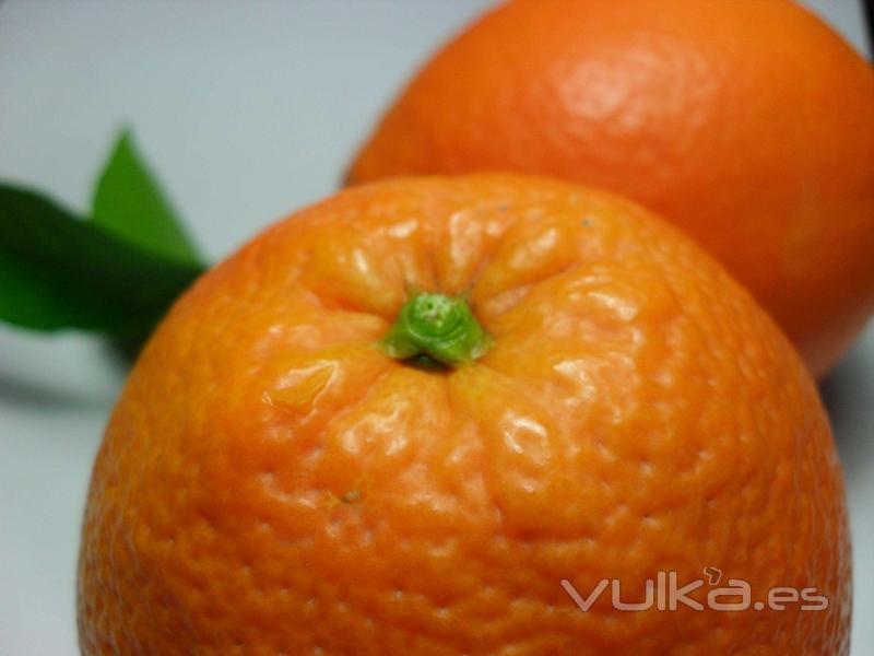 Naranjas de MESA