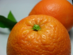 Naranjas de MESA