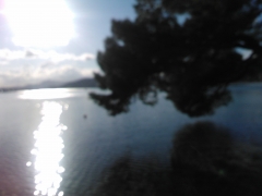 Puerto de pollenca
