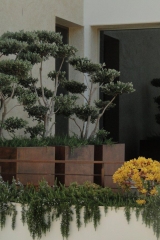 Maceteros de acero-corten