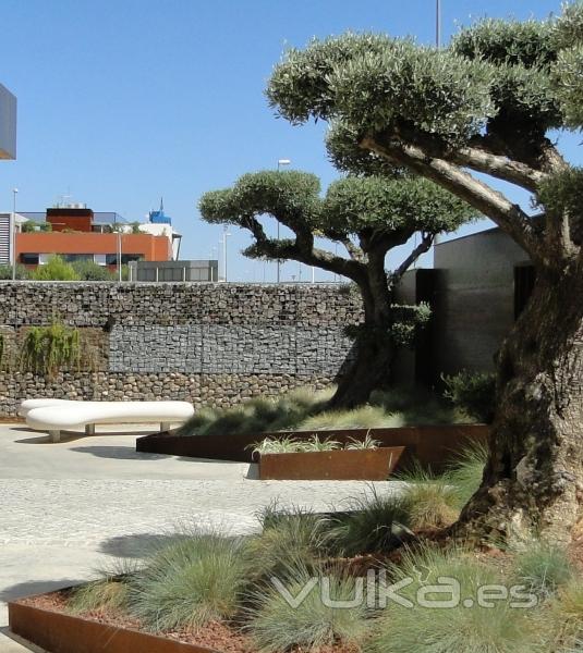 Jardin en Edificio de Oficinas